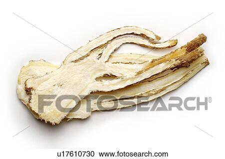 Stock Image - Angelicas. Fotosearch