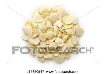 Apricot Seeds View Large Photo Image Stock Photo - Apricot Seeds. Fotosearch