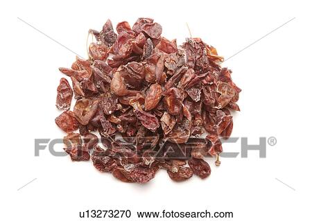 Stock Image - Asiatic Cornelian Cherry Fruit. Fotosearch