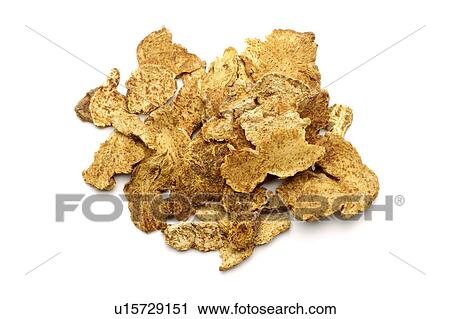 Stock Image - Atractylodes Rhizomes against white background, close up. Fotosearch