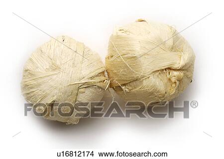 Bamboo Shavings View Large Photo Image Picture - Bamboo Shavings. Fotosearch