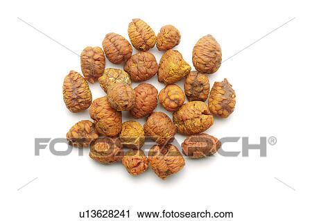Stock Image - Cape Jasmine Fruit. Fotosearch