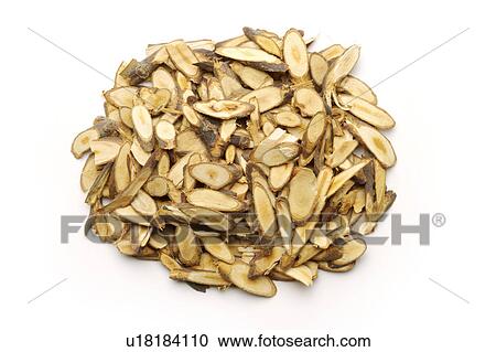 Cassia twigs against white background, close up View Large Photo Image Stock Image - Cassia twigs against white background, close up. Fotosearch