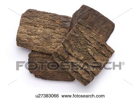Stock Photograph - Chinese herbal medicine: Eucommia Barks. Fotosearch
