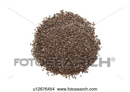 Picture - Chinese herbal medicine: SemenPlantaginis. Fotosearch
