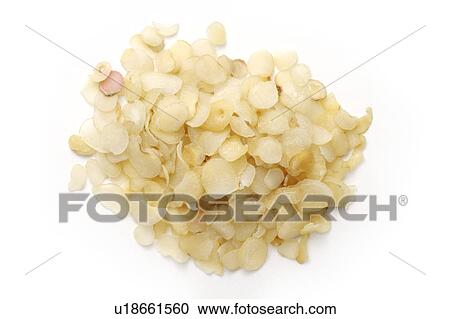 Stock Image - Chinese Herbal Medicine: Pinellia tuberifera tenore. Fotosearch