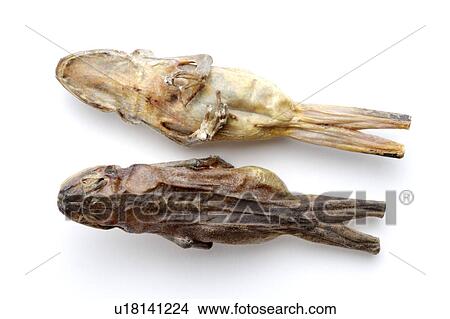 Chinese medicinal herbs View Large Photo Image Picture - Chinese medicinal herbs. Fotosearch