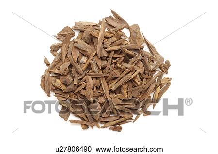 Stock Image - Chinese medicinal herbs, still life. Fotosearch