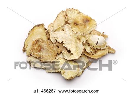 Stock Photo - Chinese medicinal herbs, still life. Fotosearch