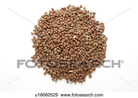Chinese medicinal herbs, still life View Large Photo Image Stock Photo - Chinese medicinal herbs, still life. Fotosearch