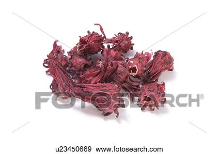 Chinese medicinal herbs, still life View Large Photo Image Stock Photo - Chinese medicinal herbs, still life. Fotosearch