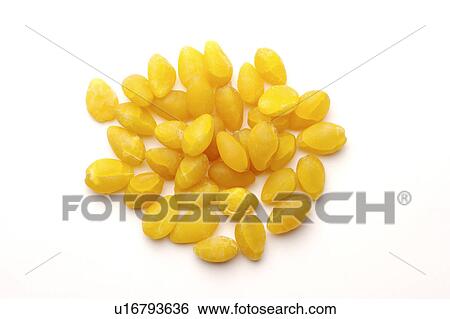 Stock Photograph - Chinese medicinal herbs, still life. Fotosearch