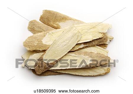 Stock Photography - Chinese medicinal herbs, still life. Fotosearch