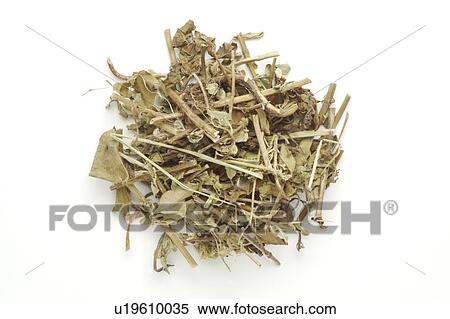 Chinese medicinal herbs, still life View Large Photo Image Stock Photography - Chinese medicinal herbs, still life. Fotosearch