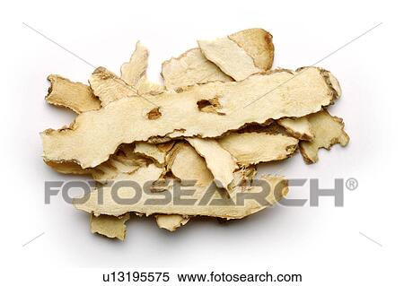Common Anemarrhena Rhizomes View Large Photo Image Stock Photography - Common Anemarrhena Rhizomes. Fotosearch