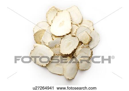 Stock Image - Dahurian Angelica Roots. Fotosearch