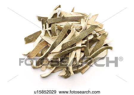 Green Tangerine Peels View Large Photo Image Stock Photo - Green Tangerine Peels. Fotosearch