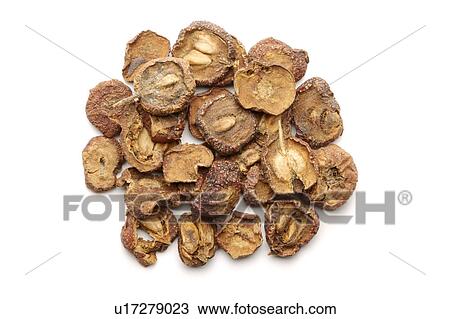Hawthorns against white background, close up View Large Photo Image Stock Image - Hawthorns against white background, close up. Fotosearch