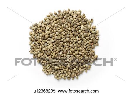 Stock Photography - Hemp Seeds against white background, close up. Fotosearch