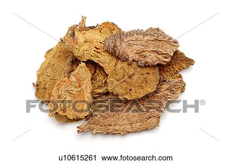 Stock Image - Herba Rhodiolae against white background, close up. Fotosearch