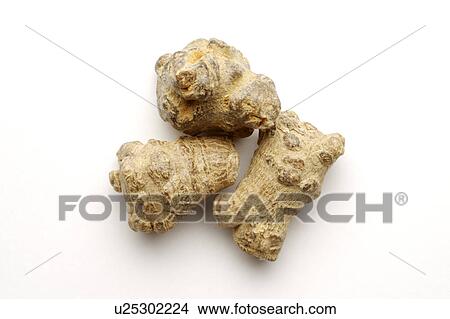 Picture - Radix notoginseng against white background, close up. Fotosearch