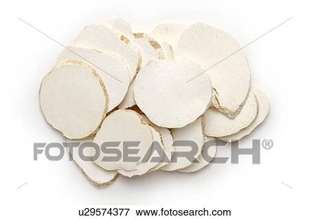 Snakegourd Roots View Large Photo Image Stock Photo - Snakegourd Roots. Fotosearch