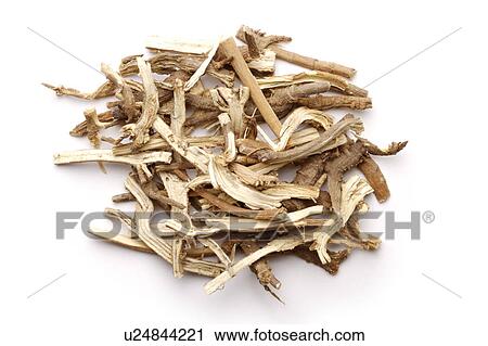 Starwort roots against white background, close up View Large Photo Image Stock Image - Starwort roots against white background, close up. Fotosearch