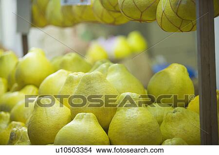 Close-up of a heap of pomelos in a store View Large Photo Image Picture - Close-up of a heap of pomelos in a store. Fotosearch