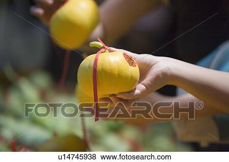 Stock Photo - Close-up of a person's hand holding a pomelo tied up with a ribbon. Fotosearch