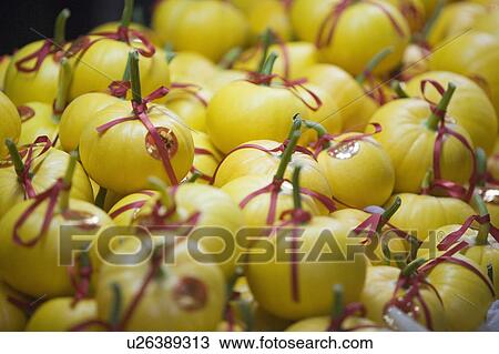 Close-up of pomelo fruits tied up with ribbons View Large Photo Image Stock Image - Close-up of pomelo fruits tied up with ribbons. Fotosearch