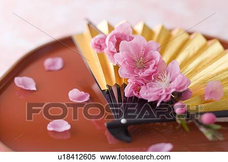 Stock Photography - Fan and tray. Fotosearch