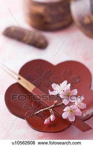 Flower shaped plate and cherry blossoms View Large Photo Image Stock Photo - Flower shaped plate and cherry blossoms. Fotosearch