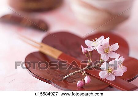 Flower shaped plate and cherry blossoms View Large Photo Image Stock Photo - Flower shaped plate and cherry blossoms. Fotosearch