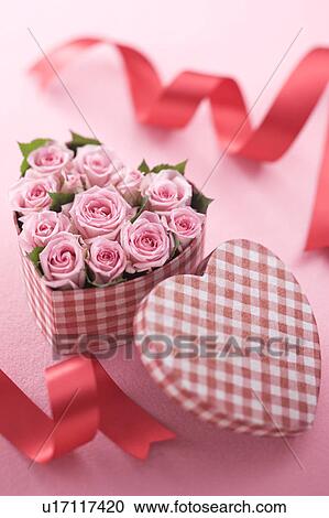 Pink rose in heart shaped box View Large Photo Image Stock Image - Pink rose in heart shaped box. Fotosearch