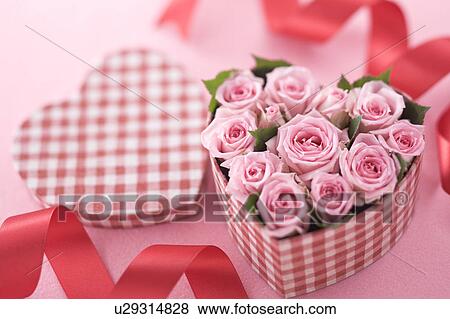 Pink rose in heart shaped box View Large Photo Image Stock Photo - Pink rose in heart shaped box. Fotosearch