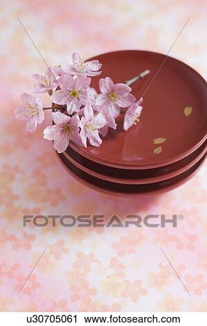 Plate and cherry blossoms View Large Photo Image Stock Image - Plate and cherry blossoms. Fotosearch
