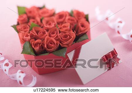 Red rose in heart shaped box View Large Photo Image Stock Photography - Red rose in heart shaped box. Fotosearch