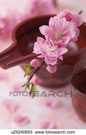 Sake cup and peach blossoms View Large Photo Image Stock Photography - Sake cup and peach blossoms. Fotosearch