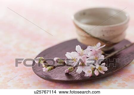 Picture - Tea cup bowl and cherry blossoms. Fotosearch