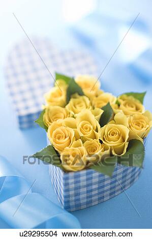 Yellow rose in heart shaped box View Large Photo Image Picture - Yellow rose in heart shaped box. Fotosearch