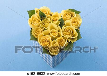 Yellow rose in heart shaped box View Large Photo Image Stock Image - Yellow rose in heart shaped box. Fotosearch