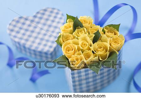 Yellow rose in heart shaped box View Large Photo Image Stock Image - Yellow rose in heart shaped box. Fotosearch