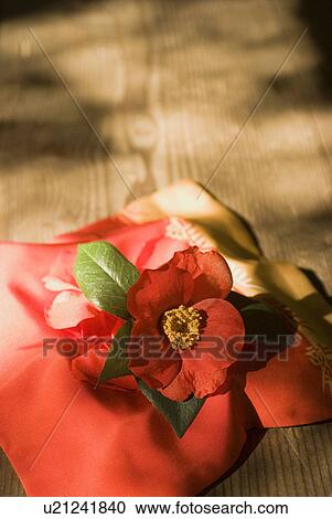 Stock Image - Crape wrapper and camellia. Fotosearch