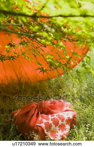 Stock Photo - Wrapped gift and paper umbrella on grassland. Fotosearch