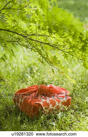 Wrapped gift on grassland View Large Photo Image Stock Image - Wrapped gift on grassland. Fotosearch