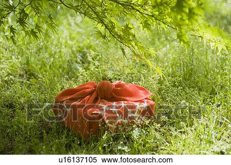 Stock Photography - Wrapped gift on grassland. Fotosearch