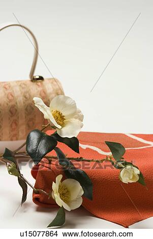 Wrapping cloth and camellia View Large Photo Image Picture - Wrapping cloth and camellia. Fotosearch