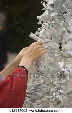 Young woman tying fortune paper View Large Photo Image Stock Photography - Young woman tying fortune paper. Fotosearch