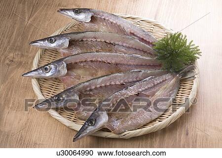 Stock Image - Dried barracuda. Fotosearch