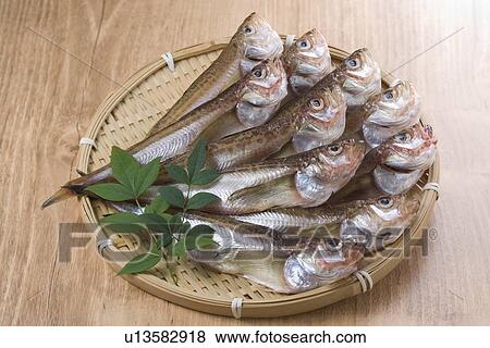 Stock Photo - Dried sailfin sandfish. Fotosearch